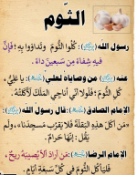 الثوم.PNG