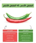 الفلفل1.webp