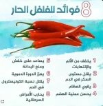 فلفل2.webp