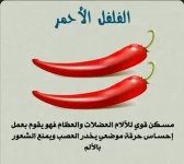 فلفل4.webp
