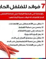 فلقل7.webp