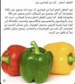 رومي2.webp