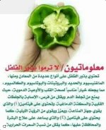 رومي4.webp