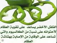 رومي5.webp