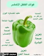 رومي6.webp
