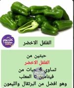 رومي8.webp
