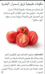 الطماطم.webp