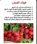 الفجل.webp