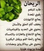 الريحان.webp