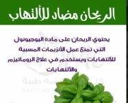 الريحان2.webp