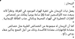 الريجان5.webp