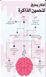 الدماغ.webp