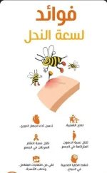فوايد لسعة النحل.webp