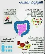القولون 2.webp