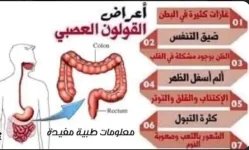 القولون3.webp
