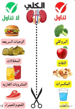 الكلى.PNG