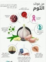 الثوم.webp