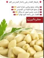 الثوم1.webp