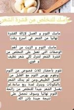 الثوم2.webp