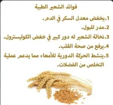 الشعير