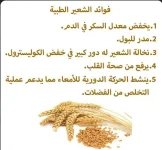 الشعير.webp