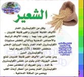 الشعير3.webp