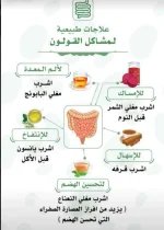 القولون3.webp