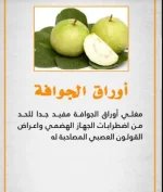 القولون5.webp