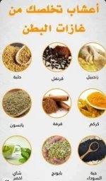 الغازات4.webp