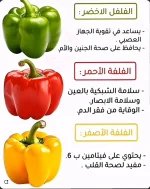 رومي.webp