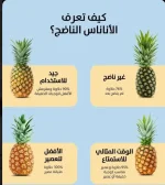 الاناناس