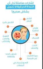 الغده الدرقيه.webp