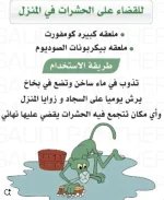 الحشرات2.webp
