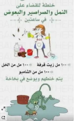 للقضاء على الحشرات في المنزل