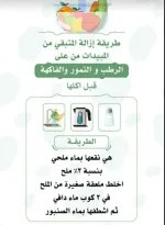 تنظيف الفواكه والخضار.webp