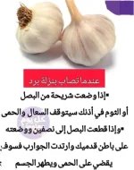 الثوم5.webp