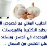الثوم8.webp