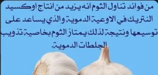 الثوم9.webp
