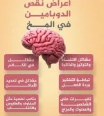 الدماغ.webp