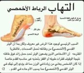 الرباط الاخمصي.webp