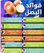 البصل 2.webp
