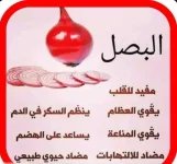 البصل4.webp