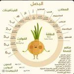 البصل5.webp