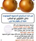 البصل 6.webp