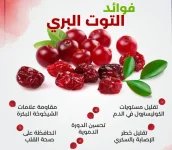 التوت البري.webp