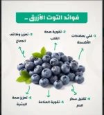 التوت الازرق.webp
