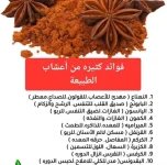 فوائد الاعشاب.webp
