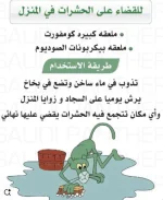 الحشرات2.webp