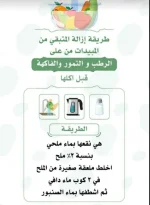 تنظيف الفواكه والخضار.webp