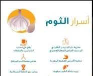 الثوم2.webp